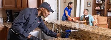 Best Termite Inspection and Treatment  in Shenandoah, LA